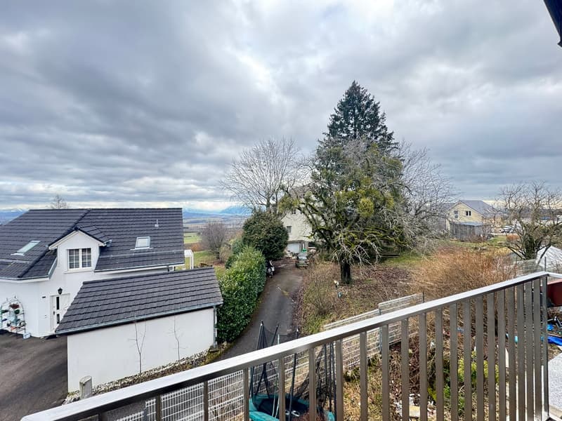 A louer superbe appartement de 3.5 pièces avec vue (11)