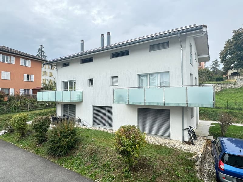 Superbe appartement de 4,5 pièces avec terrasse (2)
