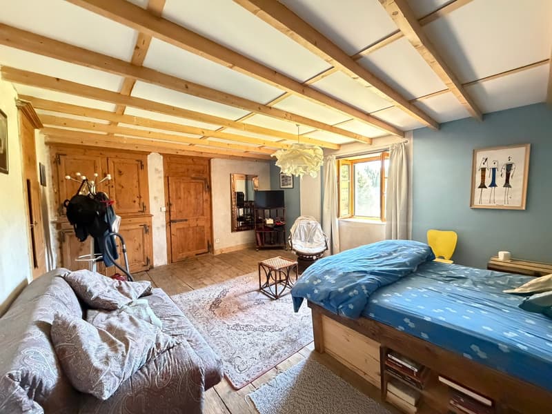 France voisine, Châtel-Blanc, à vendre charmante fermette Franc-Comtoise (15)