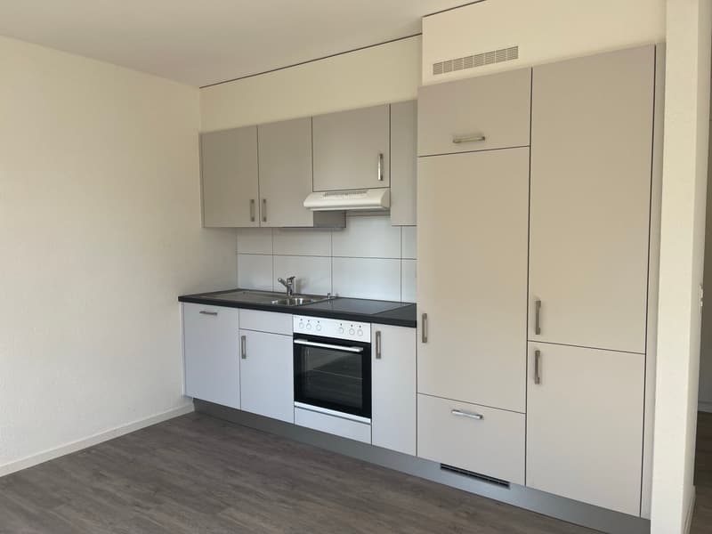 Charmant appartement de 3 pièces idéalement situé (4)