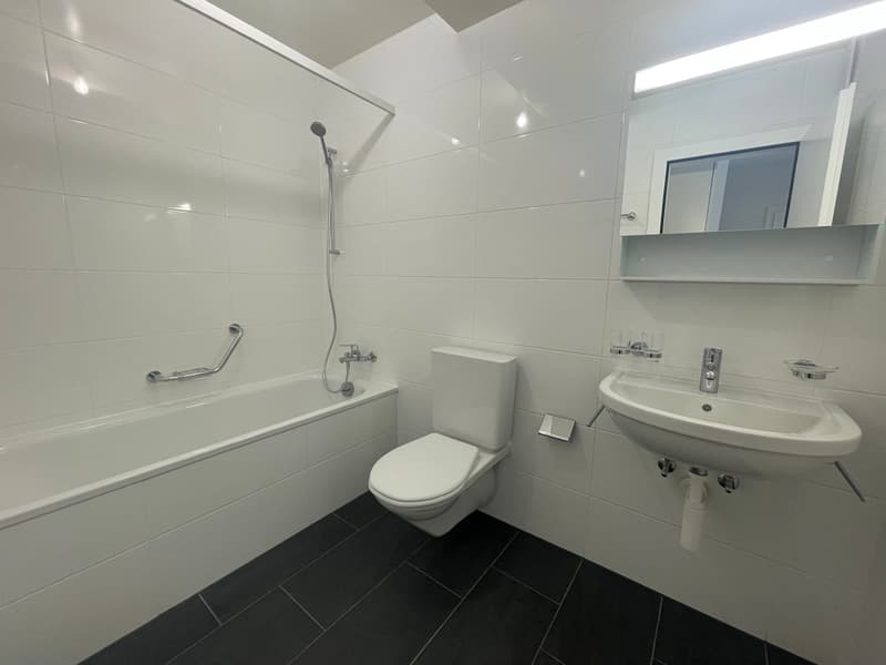 Charmant appartement de 3 pièces idéalement situé (5)