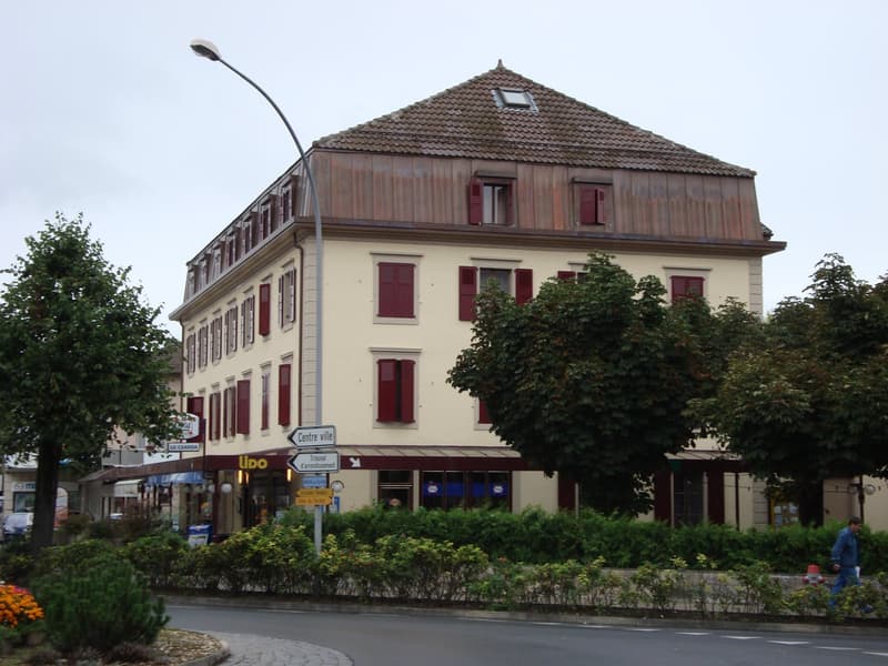 Charmant appartement de 3 pièces idéalement situé (8)