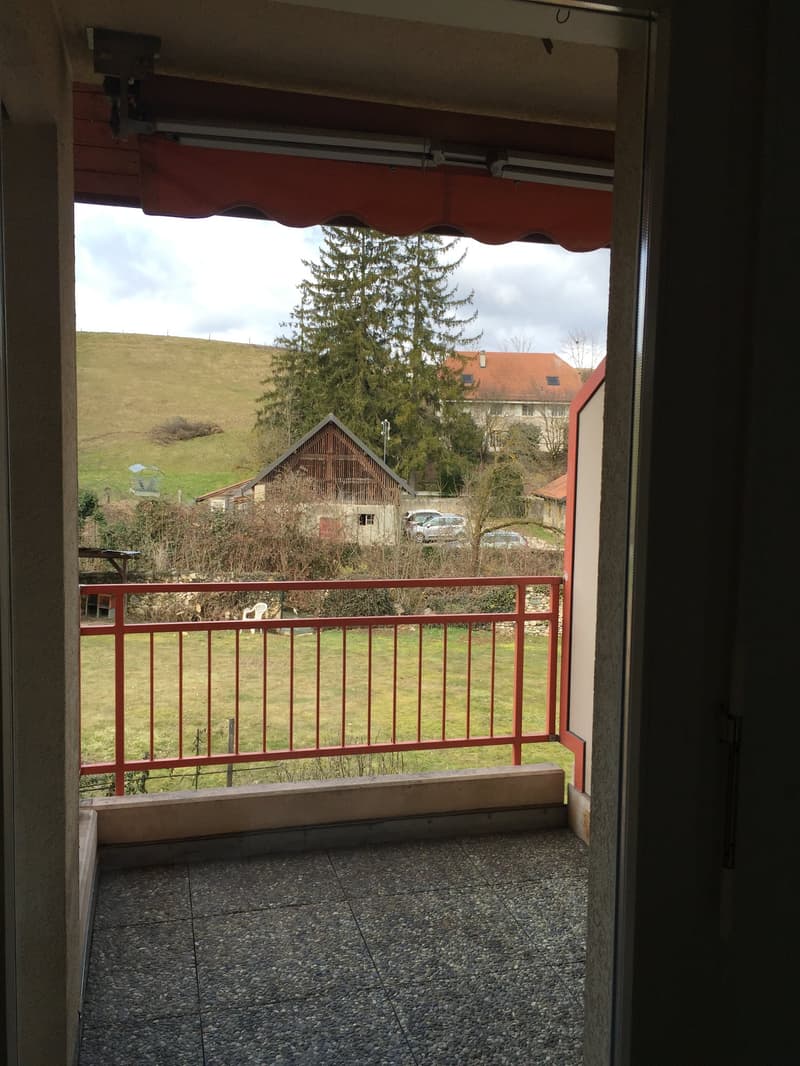 Joli studio de 33 m2 avec balcon (8)