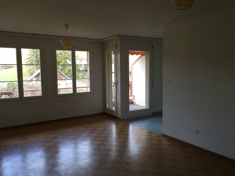 Joli studio de 33 m2 avec balcon (3)