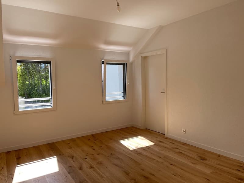 Grand appartement de 7 pièces à Giez (8)