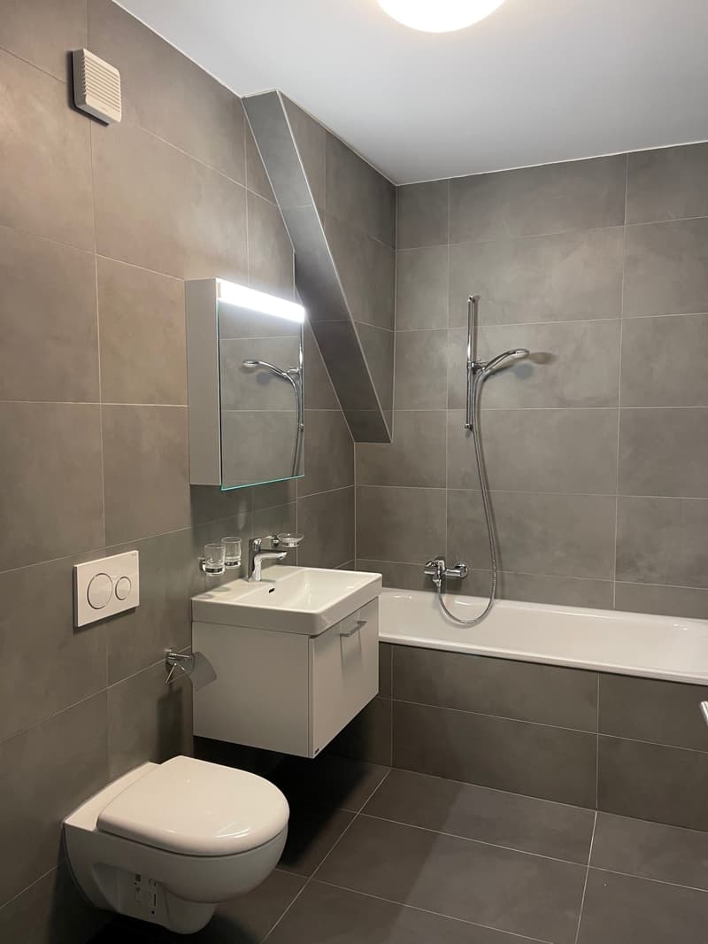 Grand appartement de 7 pièces à Giez (9)