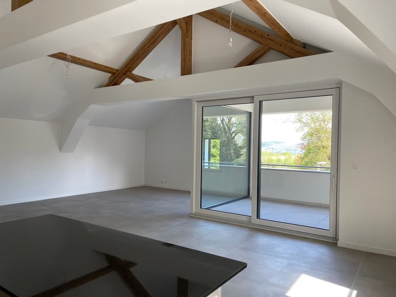 Grand appartement de 7 pièces à Giez (2)