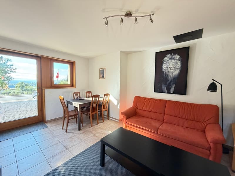 Appartement charmant avec terrasse à Lignerolle – Disponible immédiatement (14)