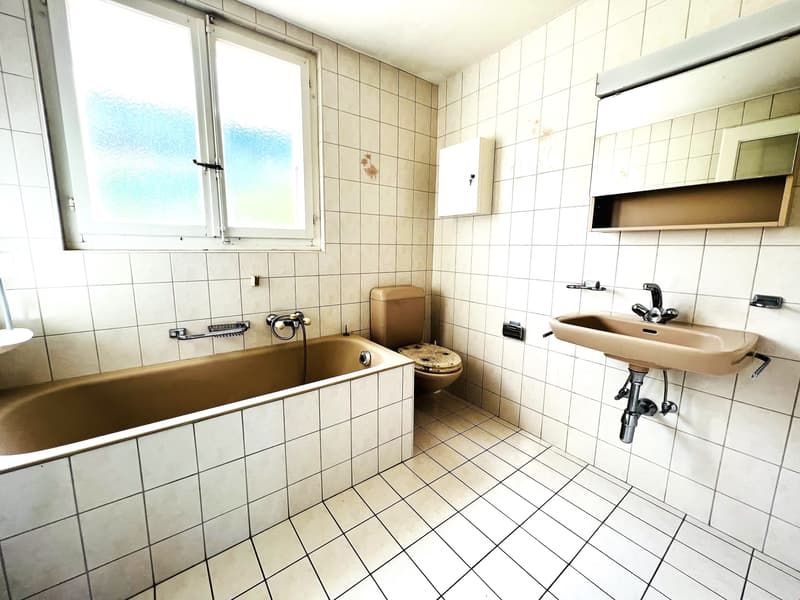 Offre unique! Spacieuse maison à rénover - 2 Appartements de 6.5 pces (15)