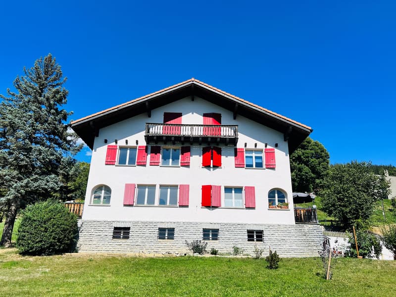 Offre unique! Spacieuse maison à rénover - 2 Appartements de 6.5 pces (13)