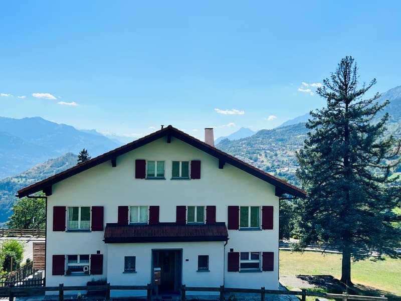 Offre unique! Spacieuse maison à rénover - 2 Appartements de 6.5 pces (14)