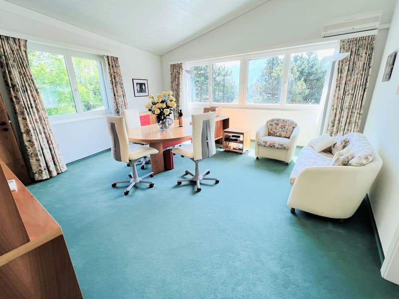 Spacious home office with large windows, wooden desk, office chairs, floral armchair, and a sofa. The room has a blue carpeted floor and appears to have access to a balcony or terrace.