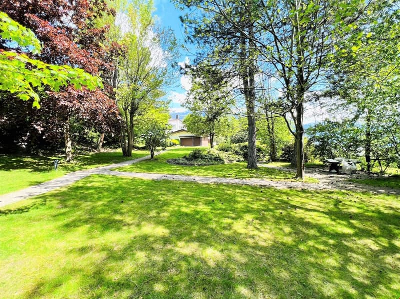 Lush green lawn surrounded by trees, with a path leading through the garden. The image shows a scenic outdoor area with a well-maintained lawn and a variety of trees, including some with reddish-brown leaves, suggesting a mix of deciduous and evergreen tr