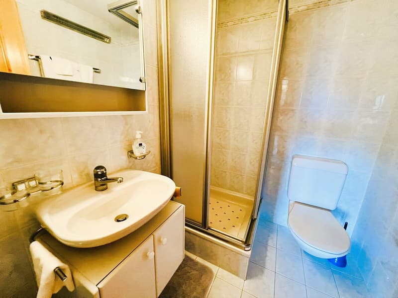 Bathroom with white tiles, sink with faucet, shower stall, toilet, mirror, towel rack, toilet paper holder, and small rug.
