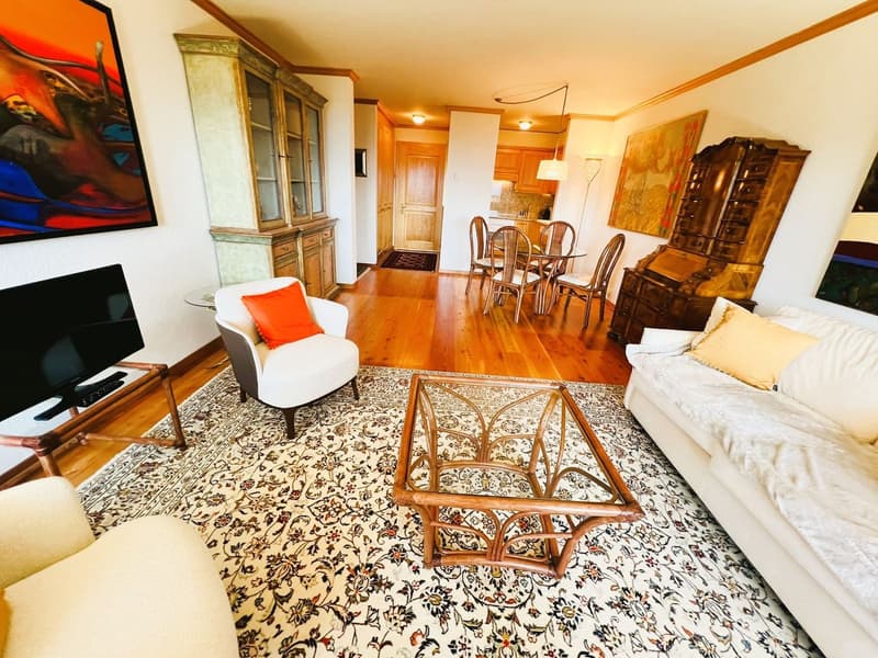 modern interior, two sofas, glass table, large area rug, dining area, hardwood floors, television, wooden cabinet
