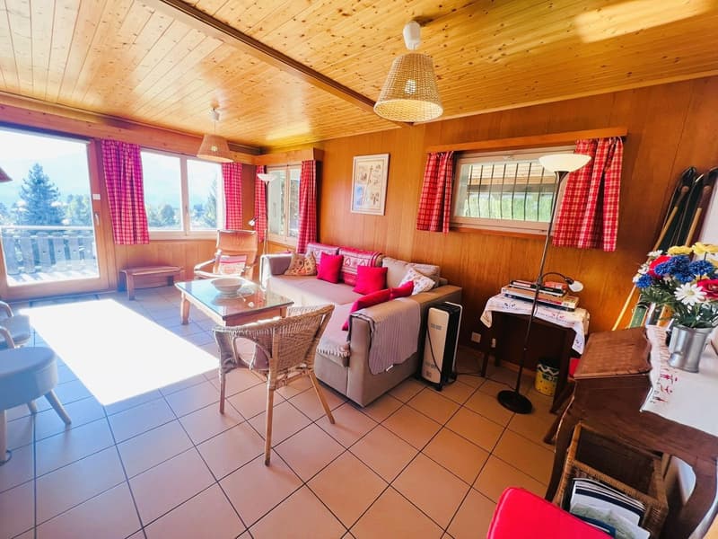 wooden ceiling, tiled floor, couch with pillows, armchair, table, coffee table, chairs, lamp, table with books, flowers in vase