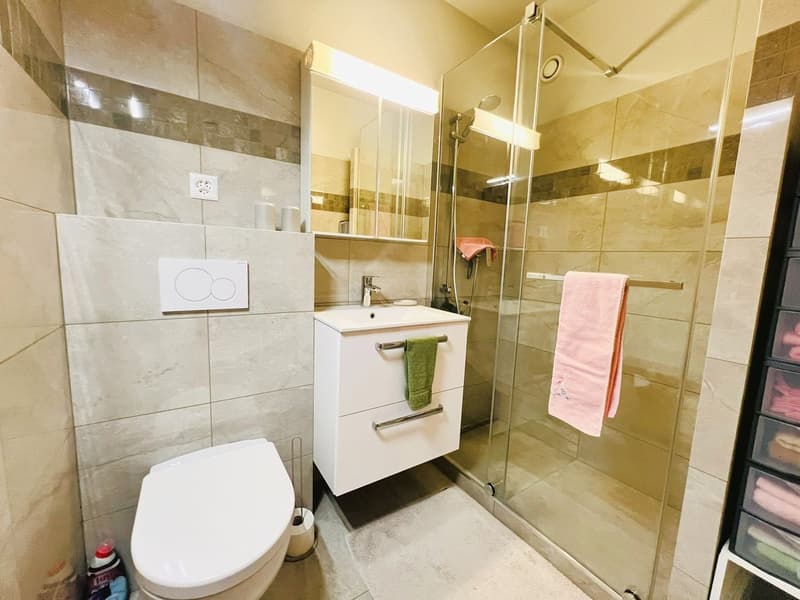modern bathroom with a toilet, a glass shower, a vanity with a sink, and towel racks