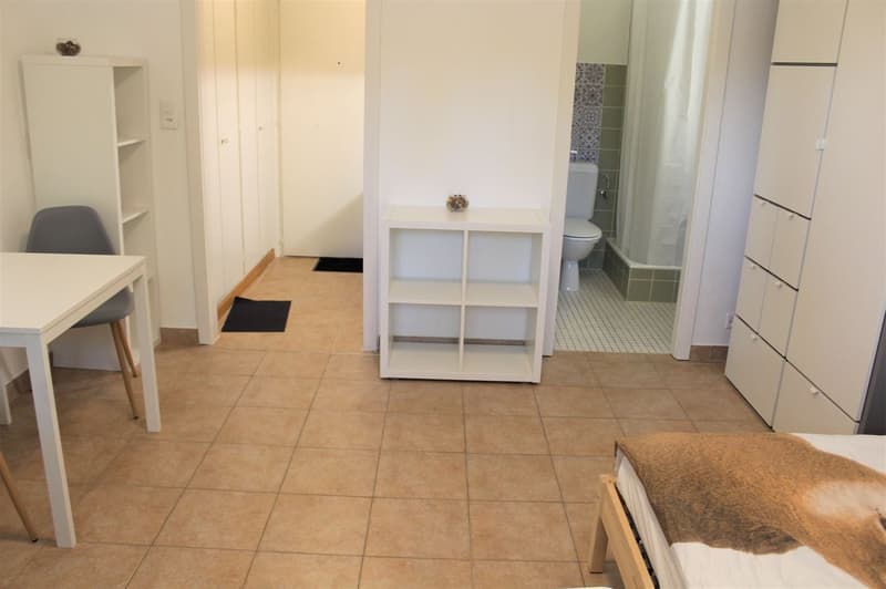 Studio cosy rénové (cuisine, salle de douche, sol ...) - Spacieux - Idéalement situé - Lieu calme (4)