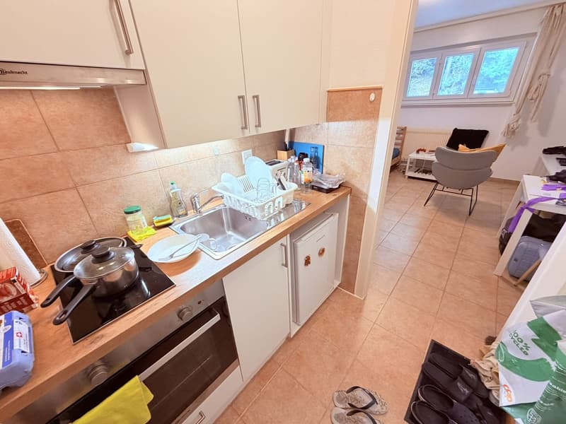 Studio cosy rénové (cuisine, salle de douche, sol ...) - Spacieux - Idéalement situé - Lieu calme (9)