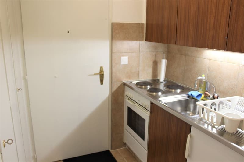 Studio cosy rénové (cuisine, salle de douche, sol ...) - Spacieux - Idéalement situé - Lieu calme (8)