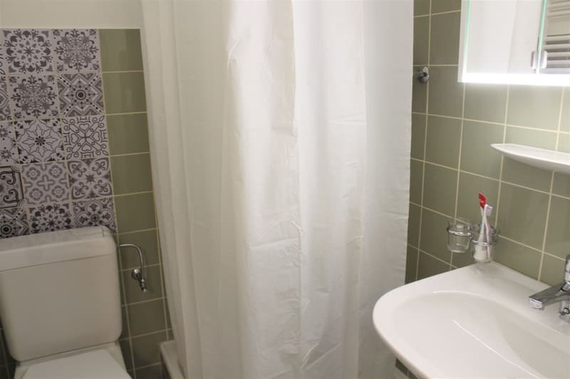 Studio cosy rénové (cuisine, salle de douche, sol ...) - Spacieux - Idéalement situé - Lieu calme (11)