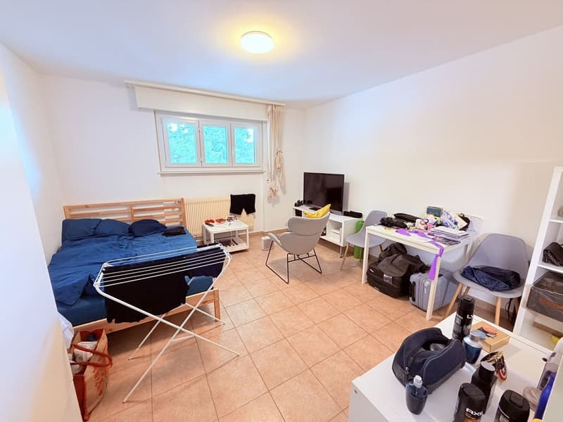 Studio cosy rénové (cuisine, salle de douche, sol ...) - Spacieux - Idéalement situé - Lieu calme (1)