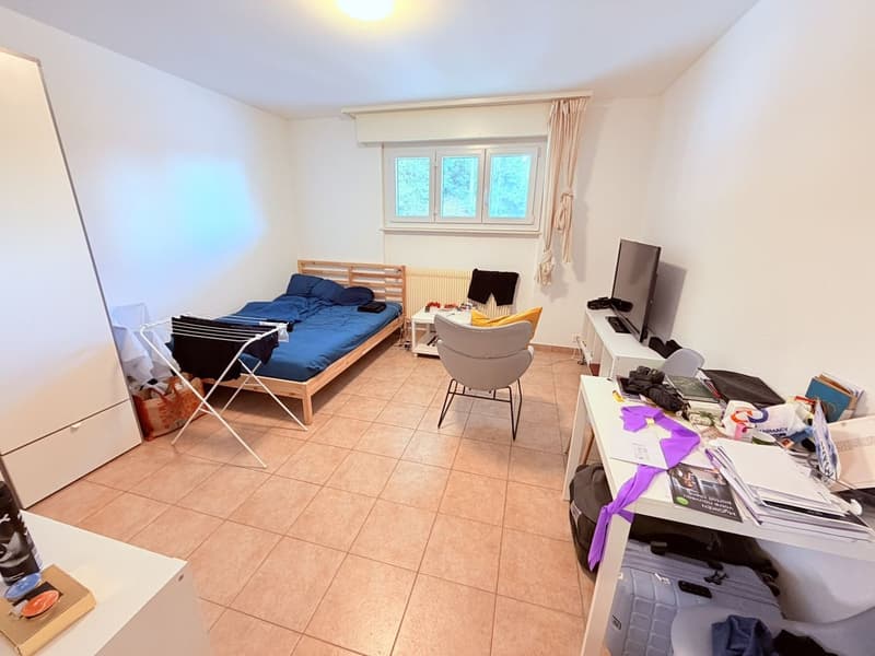 Studio cosy rénové (cuisine, salle de douche, sol ...) - Spacieux - Idéalement situé - Lieu calme (2)