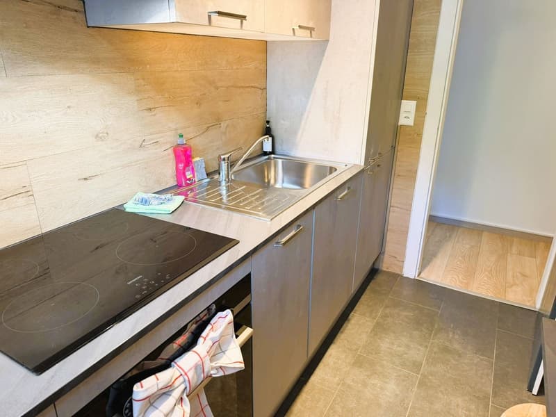 Magnifique 2.5 pces entièrement rénové - Spacieux & lumineux - Endroit calme - Belle vue -Bien situé (10)