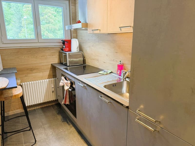 Magnifique 2.5 pces entièrement rénové - Spacieux & lumineux - Endroit calme - Belle vue -Bien situé (9)