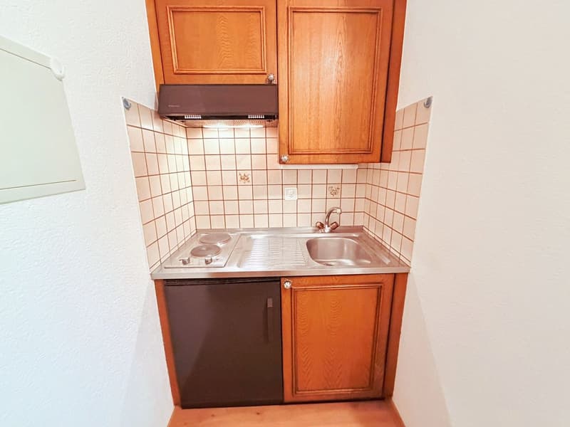 Agréable 1.5 pièce rénové (sol, murs, etc.) - Idéalement situé au cœur de Montana - Lieu très calme (7)