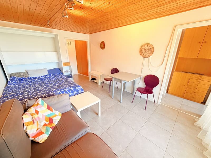 Spacieux et lumineux studio de 1.5 pièces - Très bien situé - Endroit très calme - Magnifique vue (3)