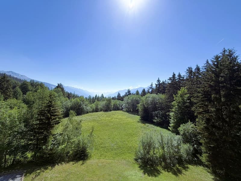 Spacieux et lumineux studio de 1.5 pièces - Très bien situé - Endroit très calme - Magnifique vue (14)