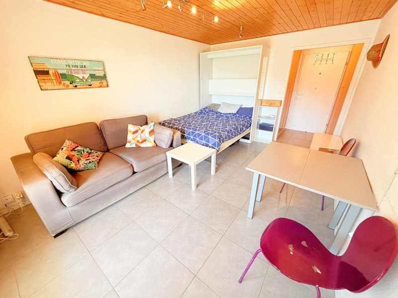 Spacieux et lumineux studio de 1.5 pièces - Très bien situé - Endroit très calme - Magnifique vue (2)