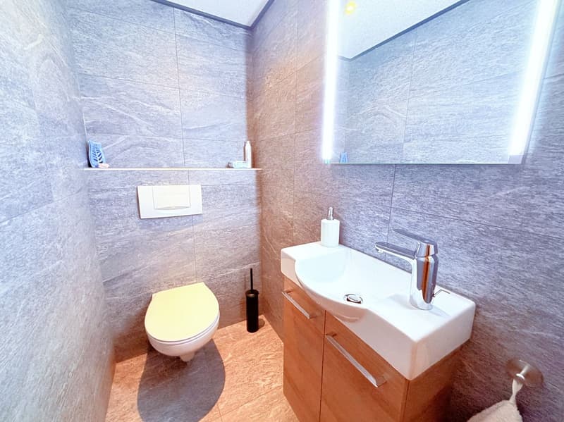 Magnifique 3.5 pces entièrement rénové - Spacieux et lumineux - Lieu calme - Bien situé - Belle vue (15)