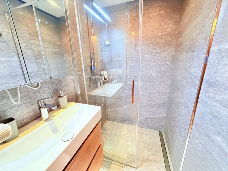 Magnifique 3.5 pces entièrement rénové - Spacieux et lumineux - Lieu calme - Bien situé - Belle vue (14)