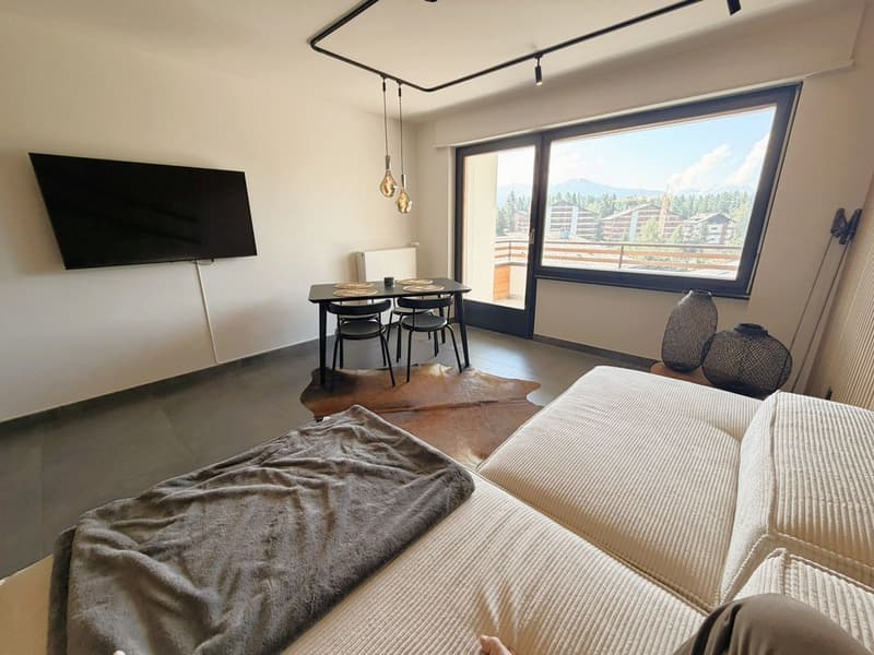 Magnifique 3.5 pces totalement rénové - Spacieux & Lumineux - Endroit calme - Bien situé - Belle vue (5)