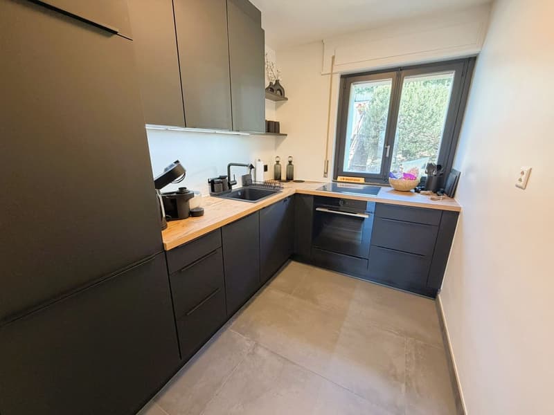 Magnifique 3.5 pces totalement rénové - Spacieux & Lumineux - Endroit calme - Bien situé - Belle vue (9)