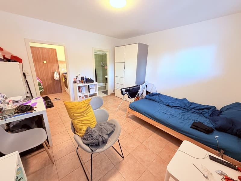 Studio cosy rénové (cuisine, salle de douche, sol ...) - Spacieux - Idéalement situé - Lieu calme (5)