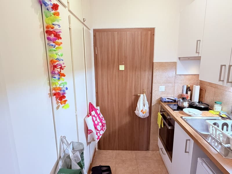 Studio cosy rénové (cuisine, salle de douche, sol ...) - Spacieux - Idéalement situé - Lieu calme (7)