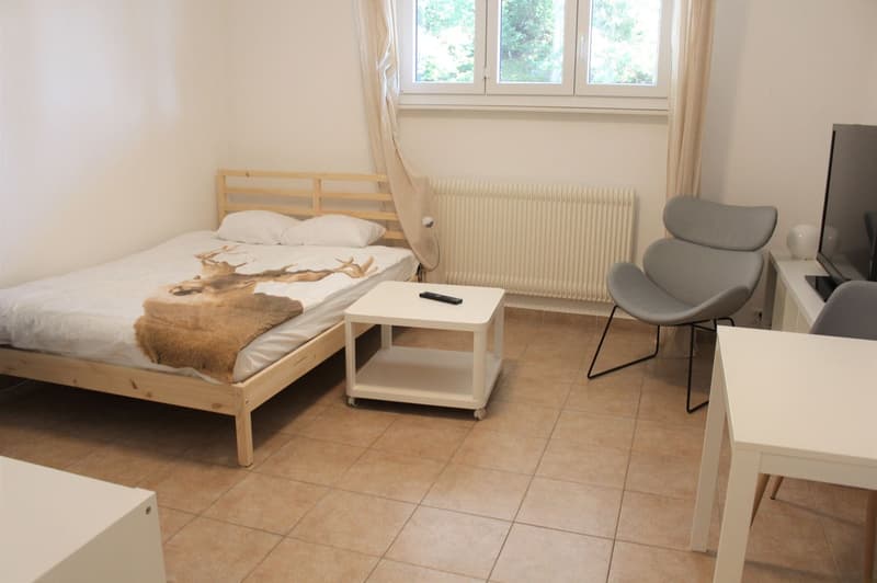 Studio cosy rénové (cuisine, salle de douche, sol ...) - Spacieux - Idéalement situé - Lieu calme (3)