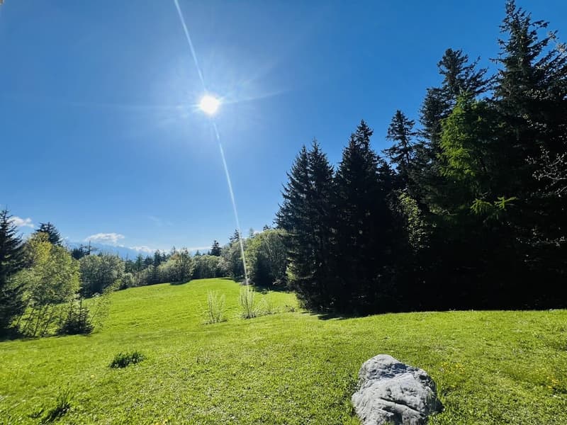 Magnifique 3.5 pièces rénové - Spacieux et lumineux - Lieu calme - Très bien placé - Belle vue (15)