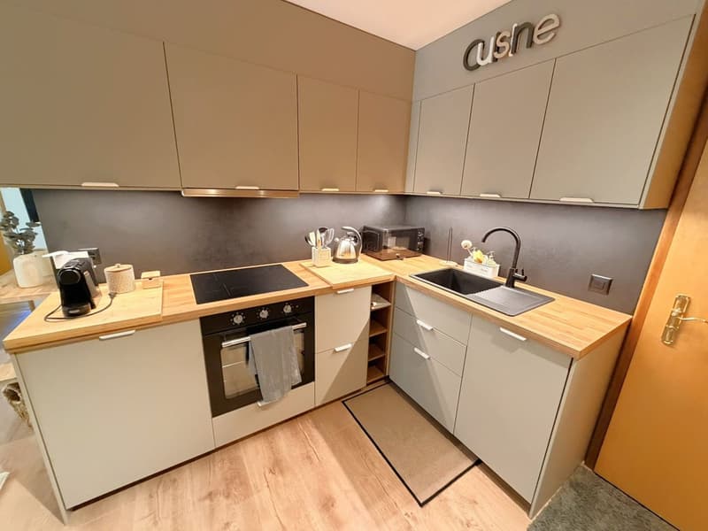 Magnifique appartement (2.5 pces) entièrement rénové - Spacieux & Lumineux - Lieu calme - Bien situé (6)
