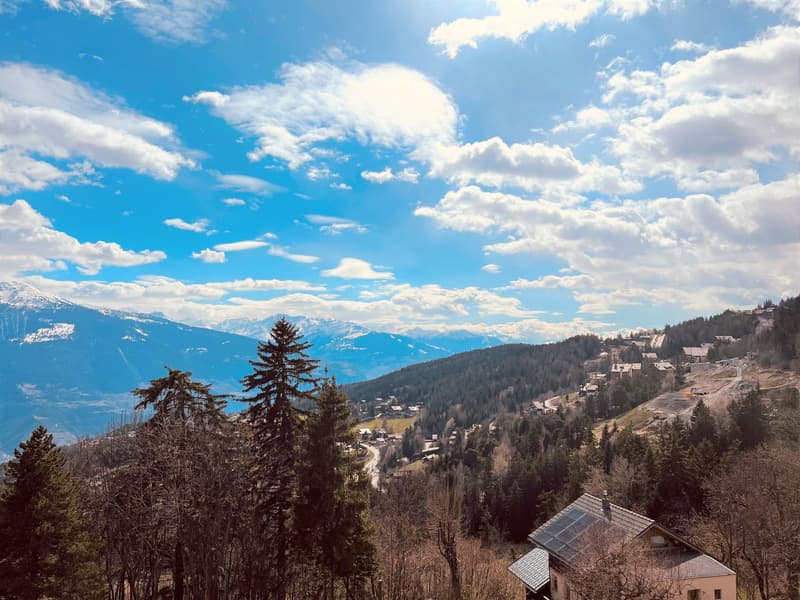 À LA SAISON: Magnifique 2.5 pièces – Spacieux et Lumineux – Bien situé – Belle vue – Endroit calme (12)
