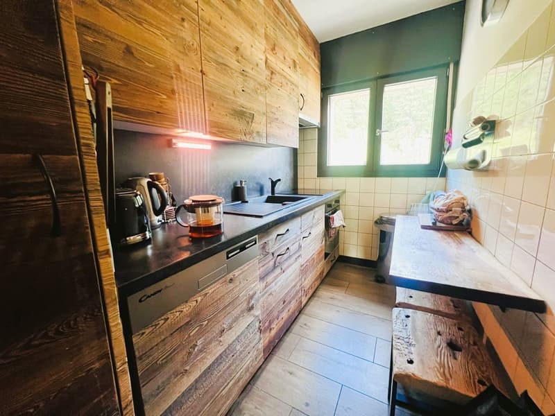 À LA SAISON: Magnifique 4.5 pces rénové - Vue panoramique extraordinaire - Bien situé - Lieu calme (6)