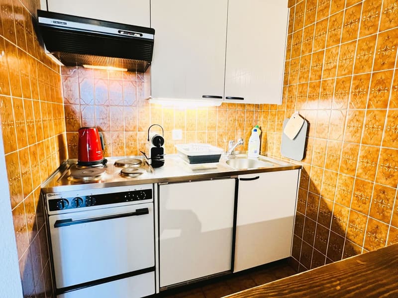 À LA SAISON : Spacieux et lumineux 2.5 pces rénové - Magnifique vue - Lieu calme - Bien situé (6)