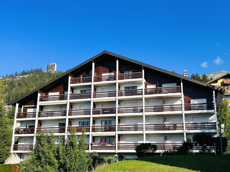 À LA SAISON : Spacieux et lumineux 2.5 pces rénové - Magnifique vue - Lieu calme - Bien situé (14)