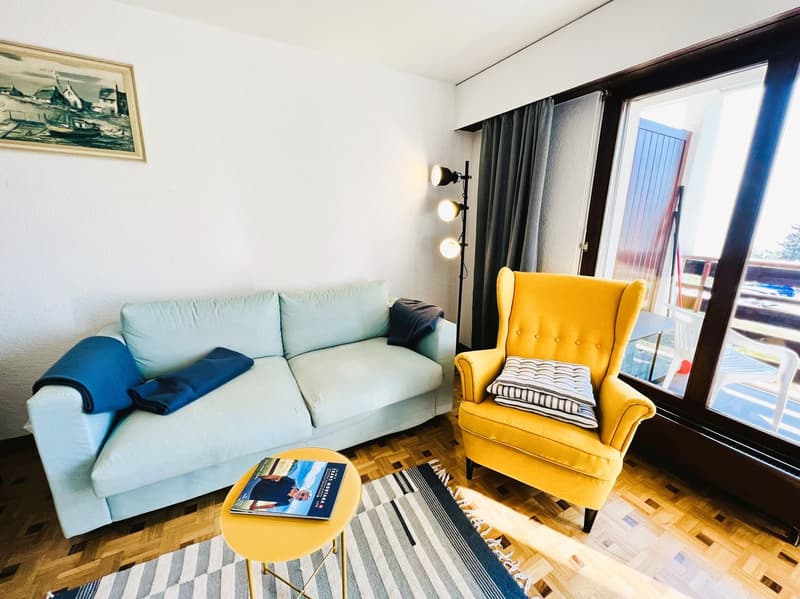 À LA SAISON : Spacieux et lumineux 2.5 pces rénové - Magnifique vue - Lieu calme - Bien situé (3)