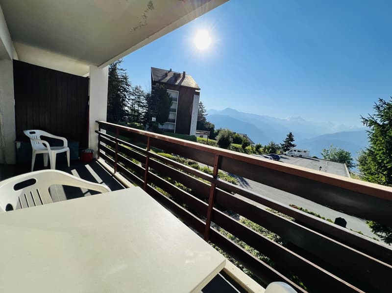 À LA SAISON : Spacieux et lumineux 2.5 pces rénové - Magnifique vue - Lieu calme - Bien situé (11)