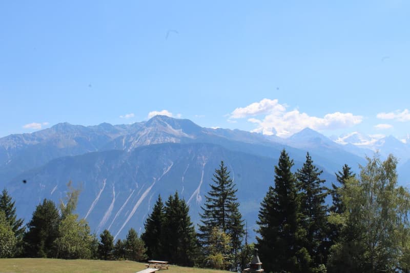 À LA SAISON : Spacieux & lumineux 2.5 pces à Crans-Montana/Aminona - Situation calme -Magnifique vue (11)