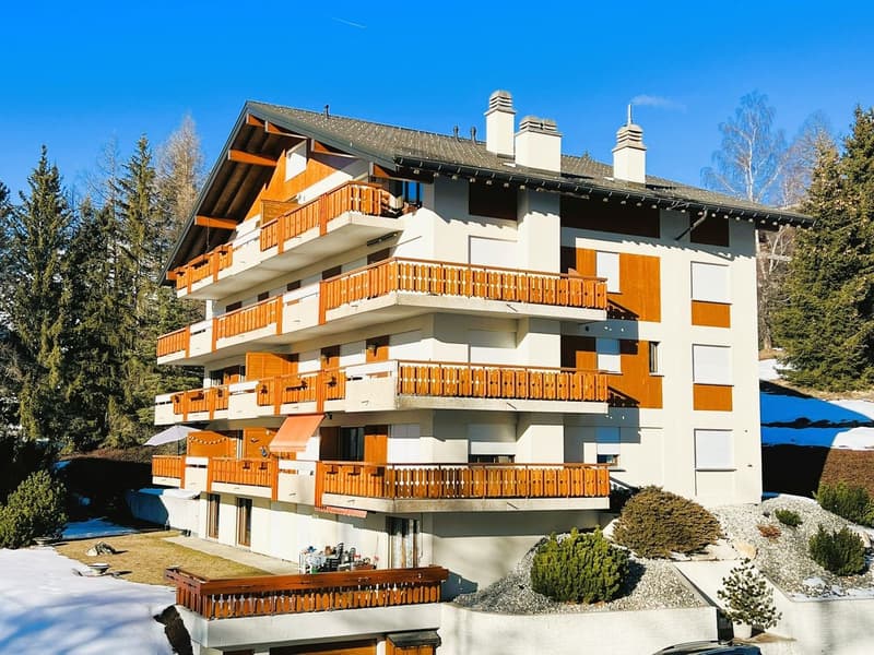 Magnifique 2.5 pièces rénové - Spacieux et lumineux - Belle vue - Lieu calme - Bien situé (12)